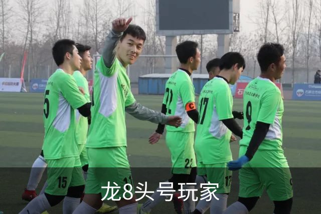 龙8头号玩家公司环境